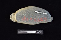 藏品(網墜)的圖片