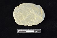 藏品(網墜)的圖片