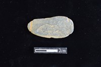 藏品(網墜)的圖片