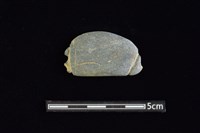 藏品(網墜)的圖片