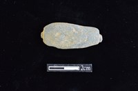 藏品(網墜)的圖片