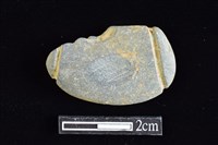 藏品(網墜)的圖片