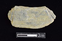 藏品(網墜)的圖片