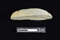 藏品(網墜)的圖片