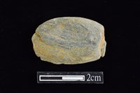 藏品(網墜)的圖片