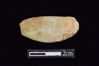 藏品(網墜)的圖片