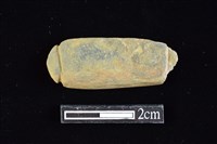 藏品(網墜)的圖片