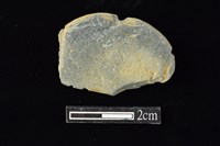 藏品(網墜)的圖片