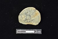 藏品(網墜)的圖片