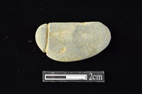 藏品(網墜)的圖片