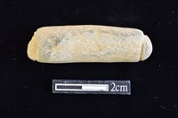 藏品(網墜)的圖片