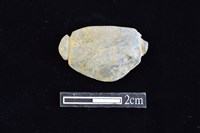 藏品(網墜)的圖片