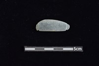 藏品(網墜)的圖片