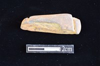 藏品(網墜)的圖片