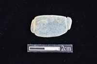 藏品(網墜)的圖片