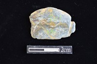 藏品(網墜)的圖片