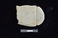 藏品(網墜)的圖片