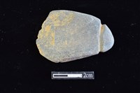 藏品(網墜)的圖片