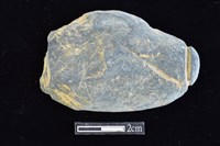 藏品(網墜)的圖片