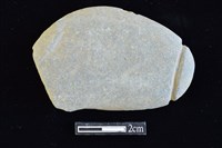 藏品(網墜)的圖片