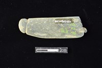 藏品(網墜)的圖片