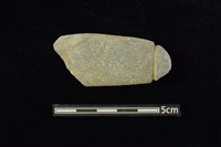 藏品(網墜)的圖片