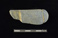 藏品(網墜)的圖片