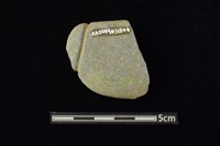 藏品(網墜)的圖片