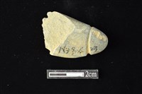 藏品(網墜)的圖片