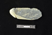 藏品(網墜)的圖片