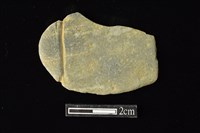 藏品(網墜)的圖片