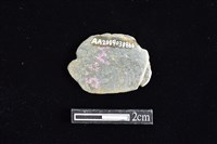 藏品(網墜)的圖片