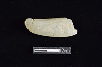 藏品(網墜)的圖片