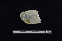 藏品(網墜)的圖片