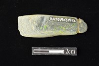 藏品(網墜)的圖片