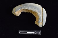 藏品(網墜)的圖片