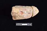 藏品(網墜)的圖片