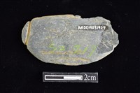 藏品(網墜)的圖片