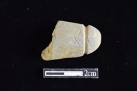 藏品(網墜)的圖片