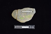 藏品(網墜)的圖片