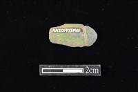 藏品(網墜)的圖片