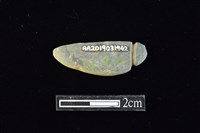 藏品(網墜)的圖片