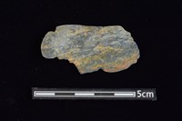 藏品(網墜)的圖片