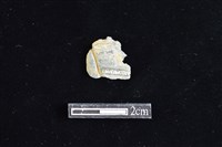 藏品(網墜)的圖片