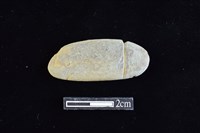 藏品(網墜)的圖片