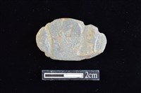 藏品(網墜)的圖片