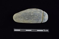 藏品(網墜)的圖片