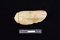 藏品(網墜)的圖片