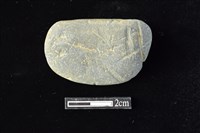 藏品(網墜)的圖片