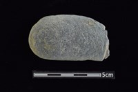 藏品(網墜)的圖片